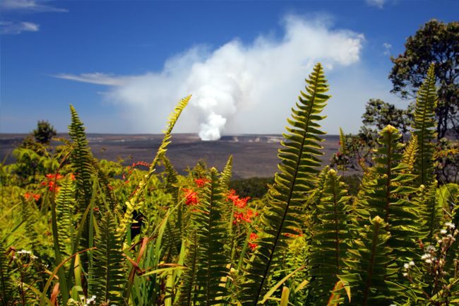 From Oahu: Big Island Volcano Adventure & Helicopter - Key Points