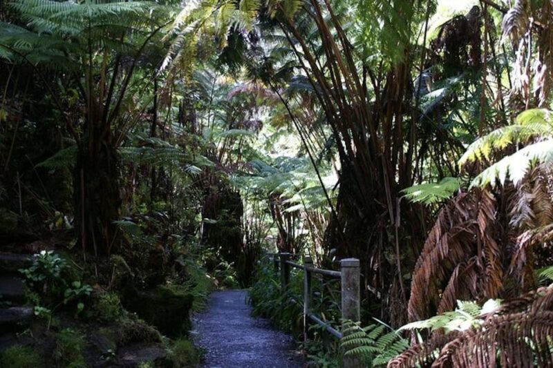 From Oahu: Hawaii Volcanoes National Park Experience - Active Steam Vents and the Volcanoes