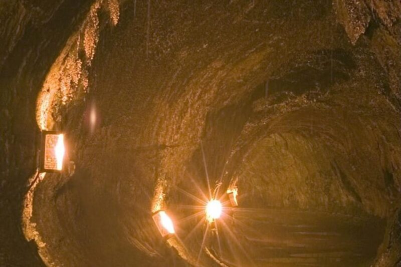 From Oahu: Hawaii Volcanoes National Park Experience - Why This Tour Offers Good Value