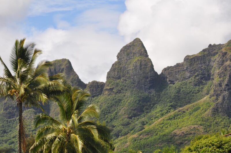 From Oahu: Kauai Highlights & Movie Sites - Price and Value
