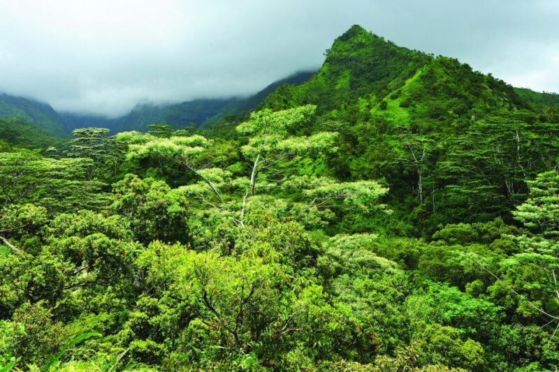 From Oahu: Kauai Highlights & Movie Sites - The Sum Up