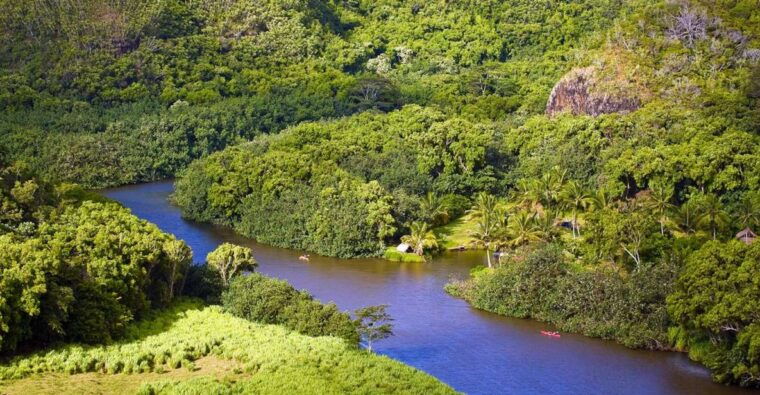 from-oahu-kauai-waimea-canyon-wailua-river-tour