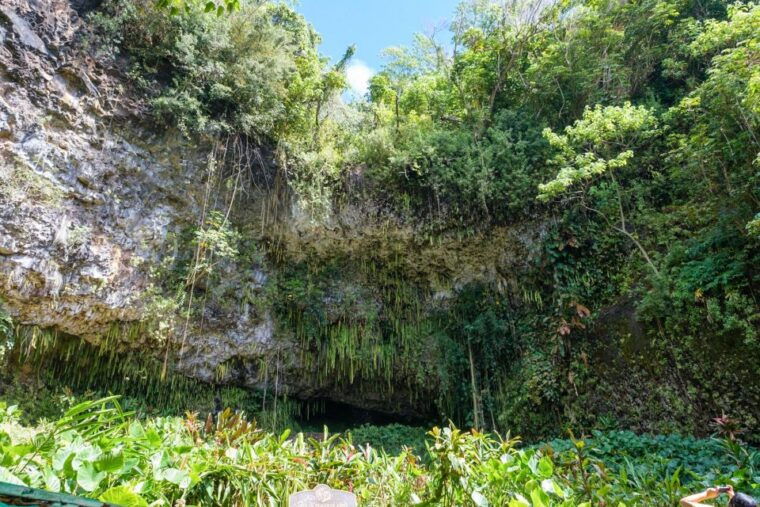 from-oahu-kauai-waimea-canyon-wailua-river-tour