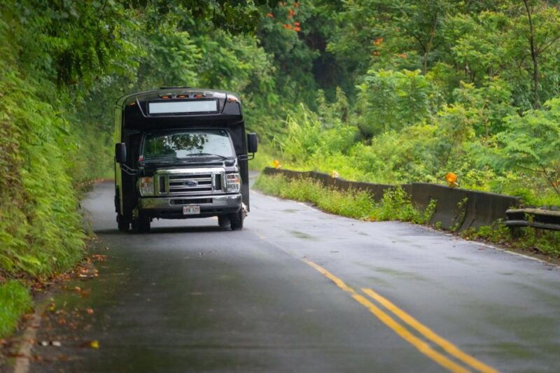 from-oahu-maui-road-to-hana-sightseeing-tour