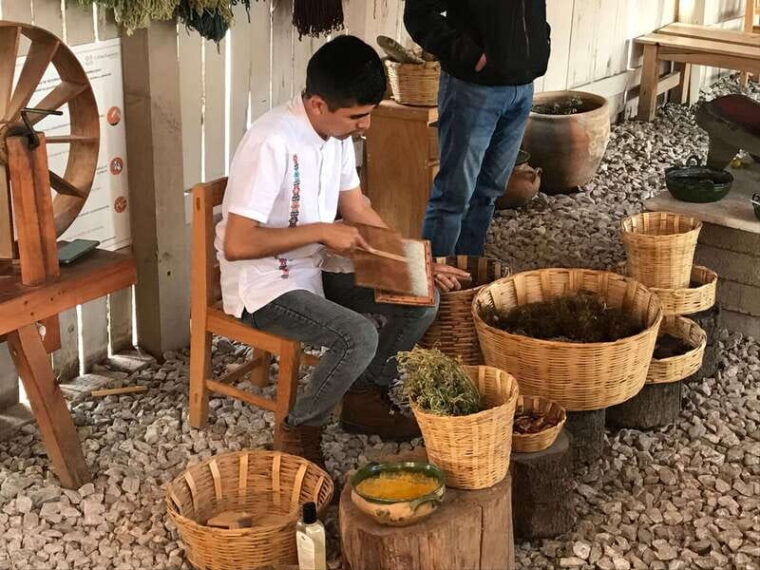 from-oaxaca-hierve-el-agua-and-teotitlan-del-valle