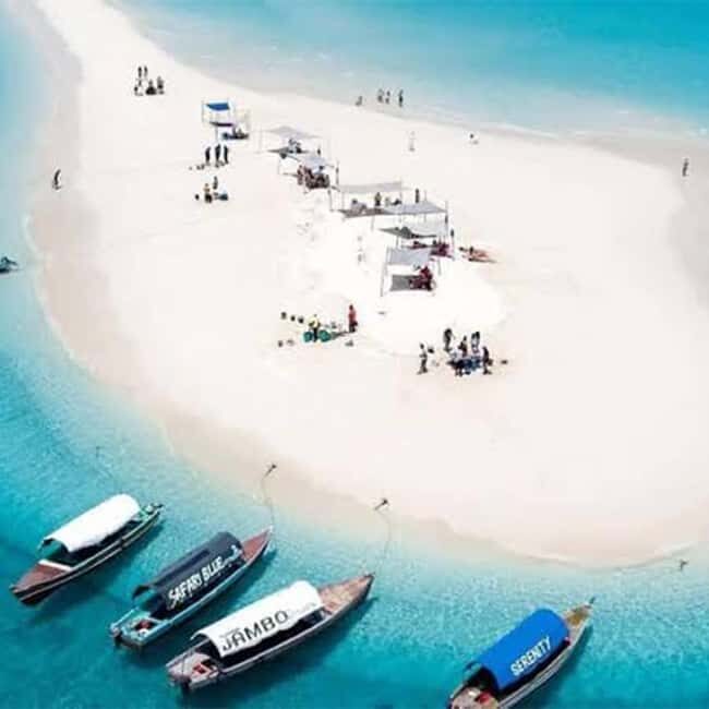 From Ocean to Plate: Zanzibar Seafood & Nakupenda Sandbank - Final Thoughts: Who Will Love This Tour?