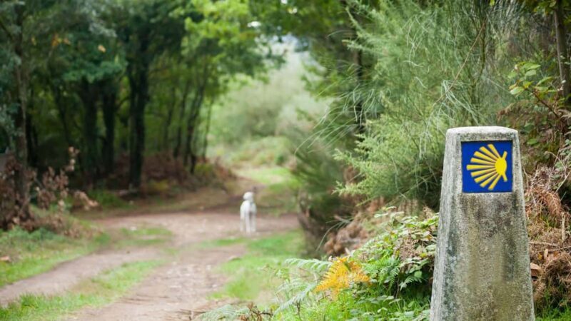 From Oia: 9-Day Guided Camino Walking Tour to Santiago - Key Points