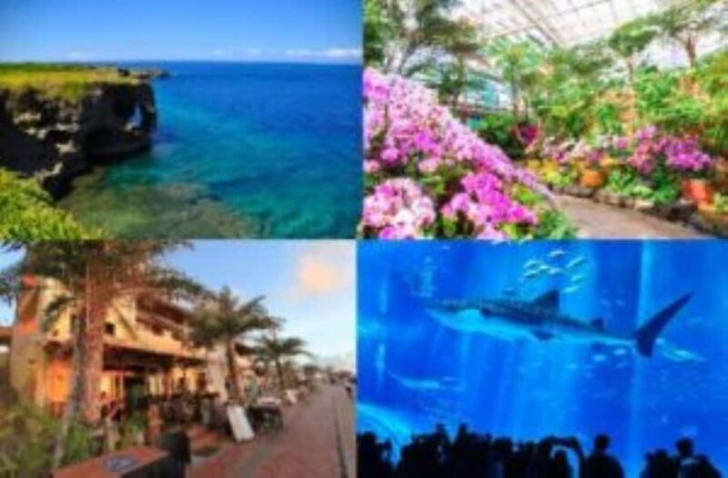 From Okinawa: Churaumi Aquarium & Cape Manzamo 1-Day Tour - Key Points