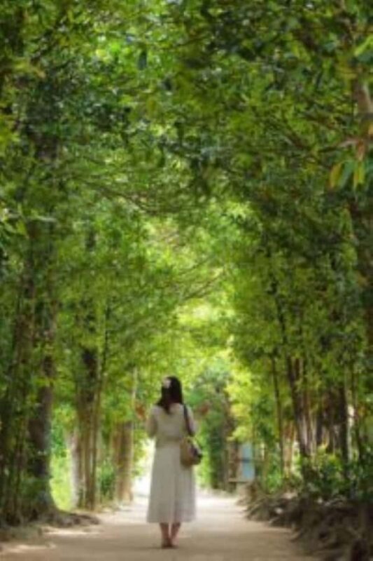 From Okinawa: Churaumi Aquarium & Cape Manzamo 1-Day Tour - FAQ