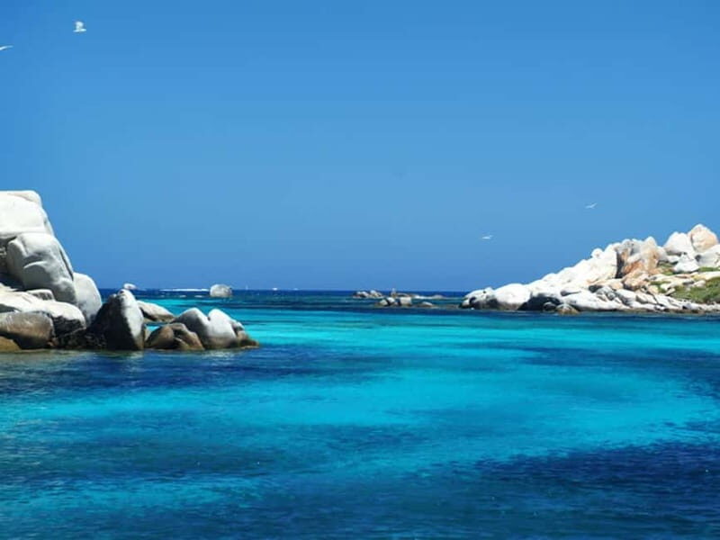 From Olbia: Exclusive Tour of the La Maddalena Archipelago - Final Thoughts