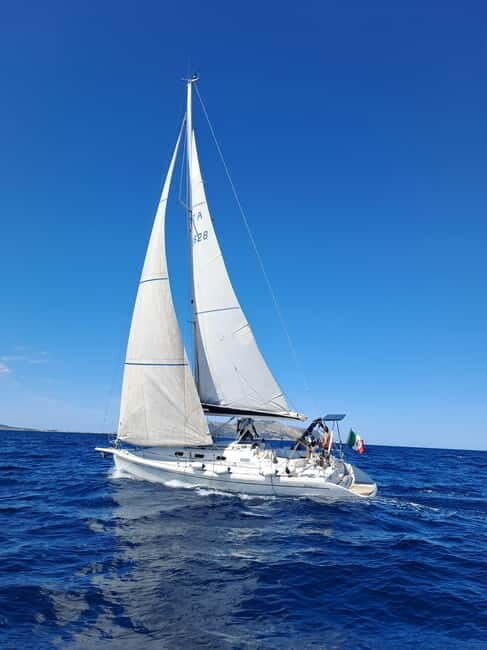 From Olbia: sailing tour between Tavolara and Cala Moresca - Practical Details & Tips