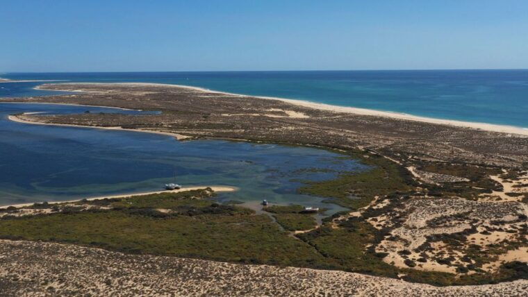 from-olhao-ria-formosa-3-island-full-day-tour-with-sunset