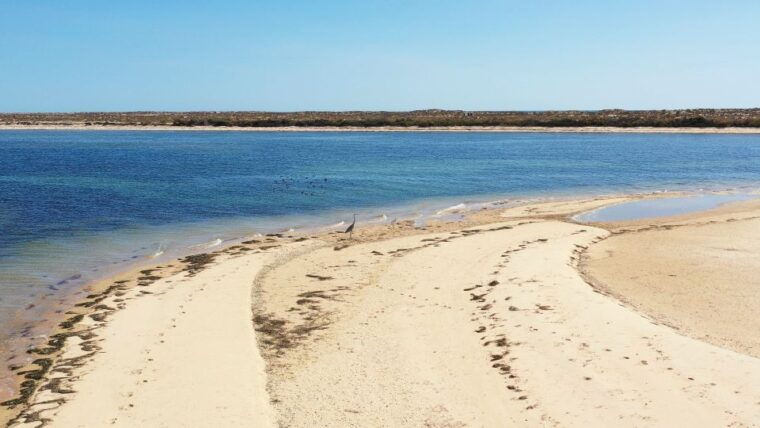 from-olhao-ria-formosa-3-island-full-day-tour-with-sunset