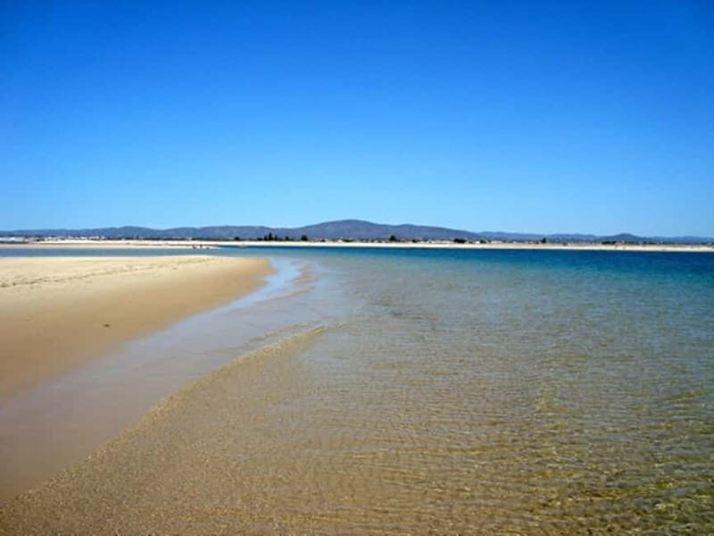 From Olhão: Ria Formosa & Culatra Island 3.5-Hour Boat Trip - FAQ