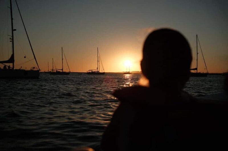 From Olhão: Ria Formosa Sunset Island Boat Tour - Key Points