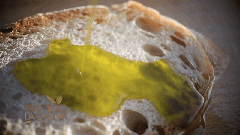 from-olive-to-oil-harvesting-and-visit-to-oil-mill-with-tasting