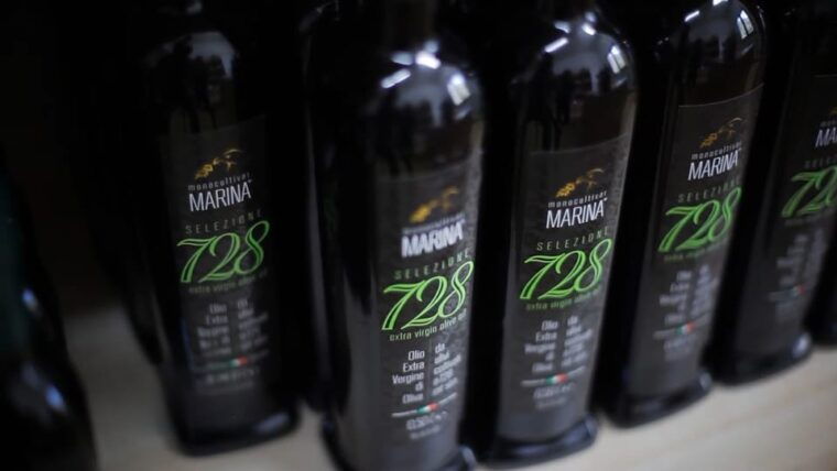 from-olive-to-oil-harvesting-and-visit-to-oil-mill-with-tasting