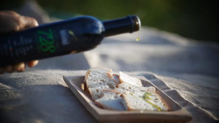 from-olive-to-oil-harvesting-and-visit-to-oil-mill-with-tasting