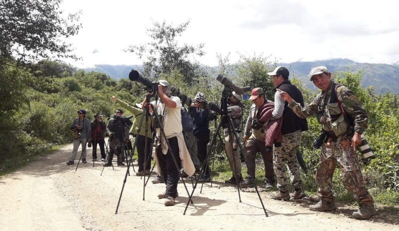 from-ollantaytambo-machu-picchu-birding-private-tour