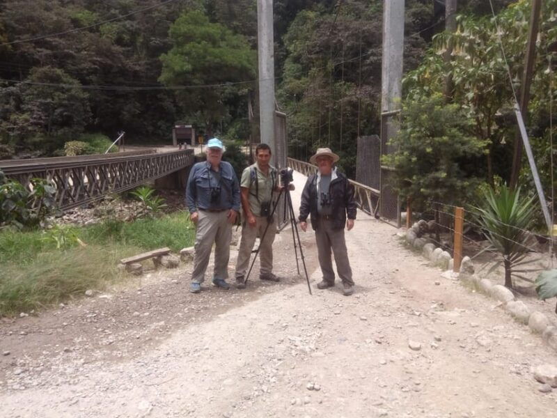 from-ollantaytambo-machu-picchu-birding-private-tour
