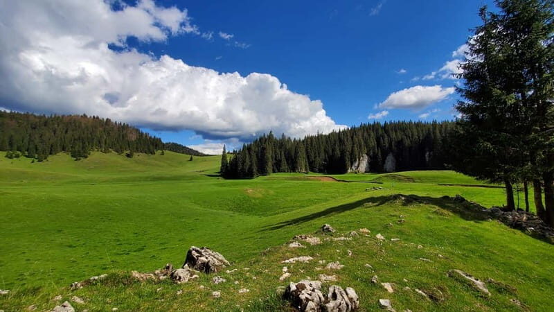 From Oradea: Apuseni Mountains Guided Hiking Tour - Key Points