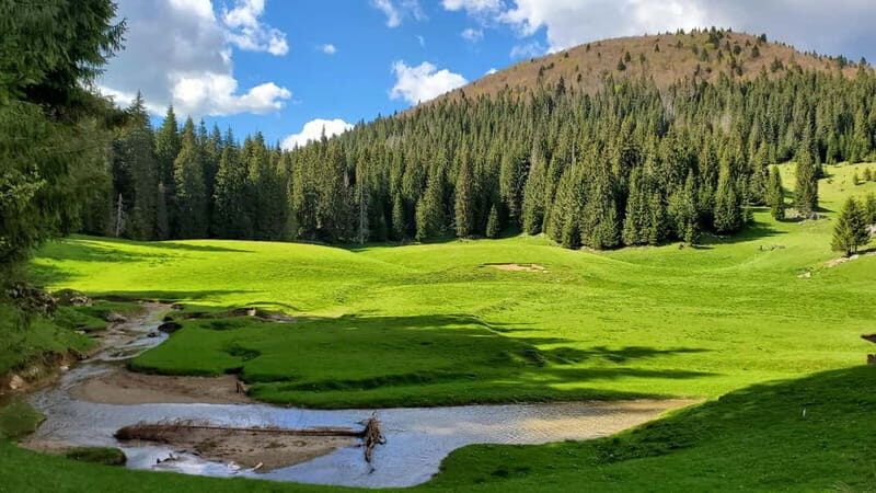 From Oradea: Apuseni Mountains Guided Hiking Tour - An Authentic Introduction to Romania’s Apuseni Mountains