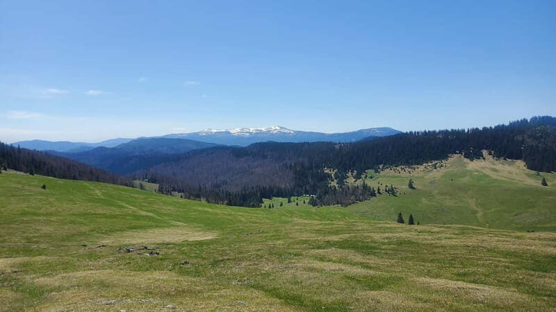 From Oradea: Apuseni Mountains Guided Hiking Tour - Practical Details and Logistics