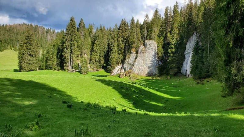 From Oradea: Apuseni Mountains Guided Hiking Tour - Who Should Do This Tour?