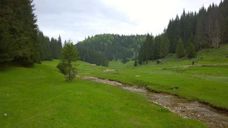 From Oradea: Apuseni Mountains Guided Hiking Tour - Final Words