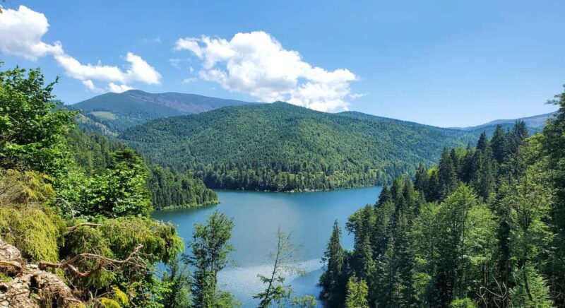 From Oradea: Mountain Bike around Lake Dragan - An Overview of the Experience