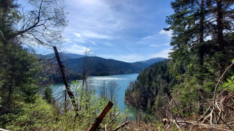From Oradea: Mountain Bike around Lake Dragan - Authentic Insights from Past Participants