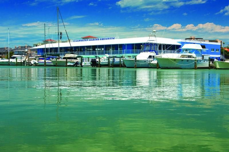from-orlando-clearwater-beach-and-marine-aquarium-admission