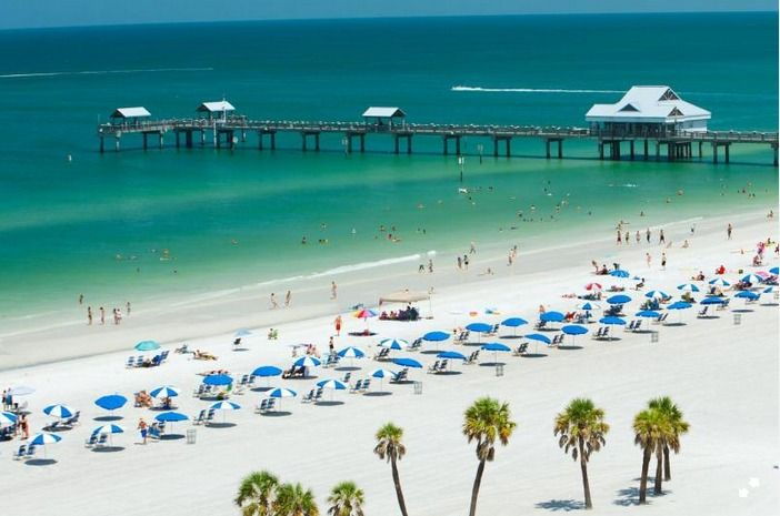 from-orlando-clearwater-beach-and-marine-aquarium-admission