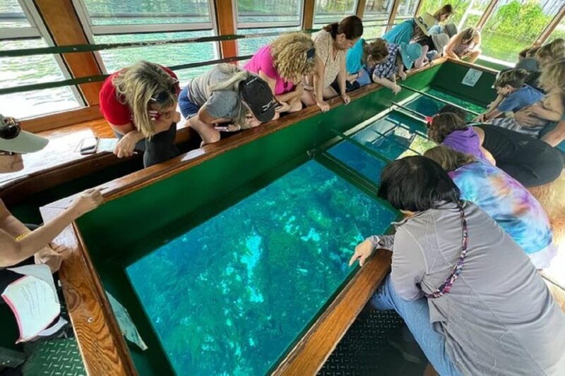 from-orlando-silver-springs-park-and-glass-bottom-boat-tour