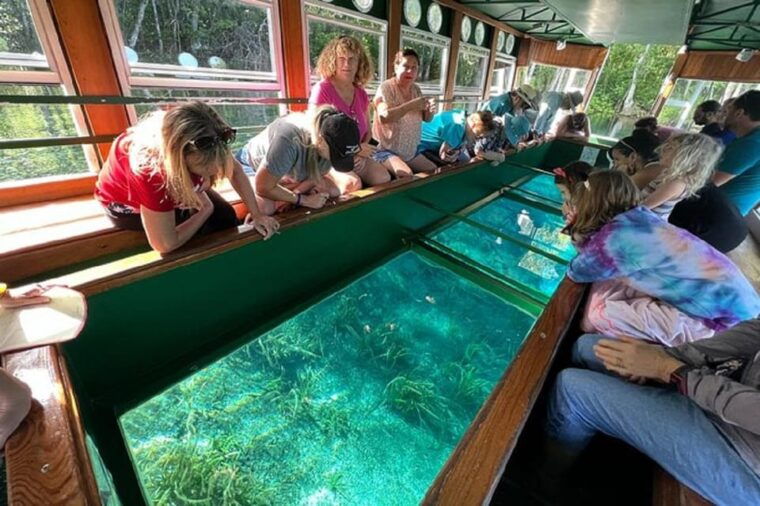 from-orlando-silver-springs-park-and-glass-bottom-boat-tour