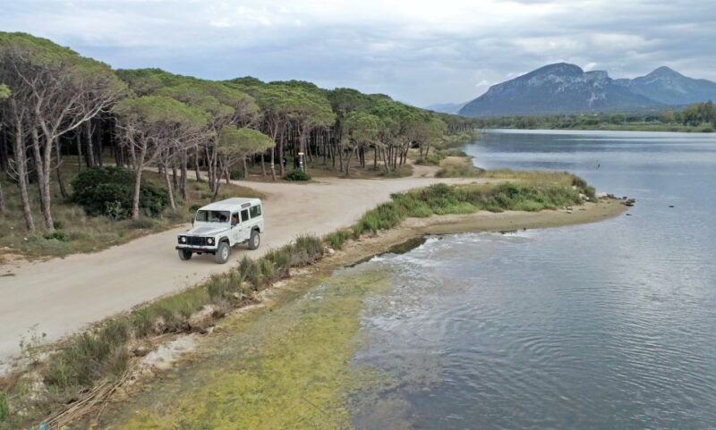 From Orosei: Archaeology, Wine Tasting & Landscapes Tour - Who Will Love This Experience?