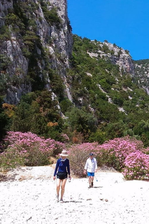 from-orosei-dorgali-hike-to-cala-luna-guided-day-trip