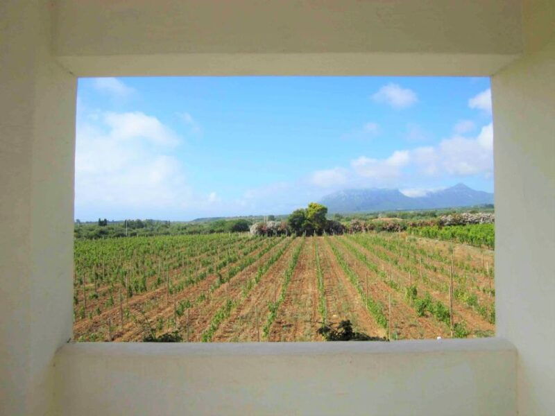 from-orosei-private-jeep-tour-with-tasting