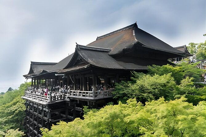 from-osaka-10-hour-private-custom-tour-to-kyoto