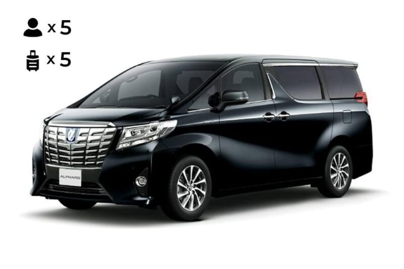 From Osaka: 10-hour Private Customized Tour to Nara - What to Expect from the Tour