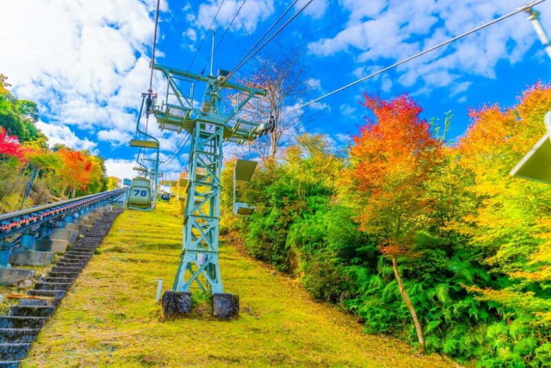 From Osaka: Amanohashidate and Ine Bay Day Trip - Final Thoughts