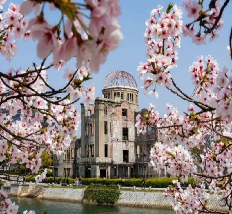 From Osaka: Hiroshima & Miyajima Island Private Guided Tour - What to Expect on Your Day Trip from Osaka