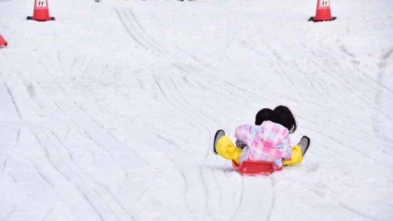 From Osaka: Japans Popular Okuibuki Ski Resort Day Trip - Who Should Consider This Tour?