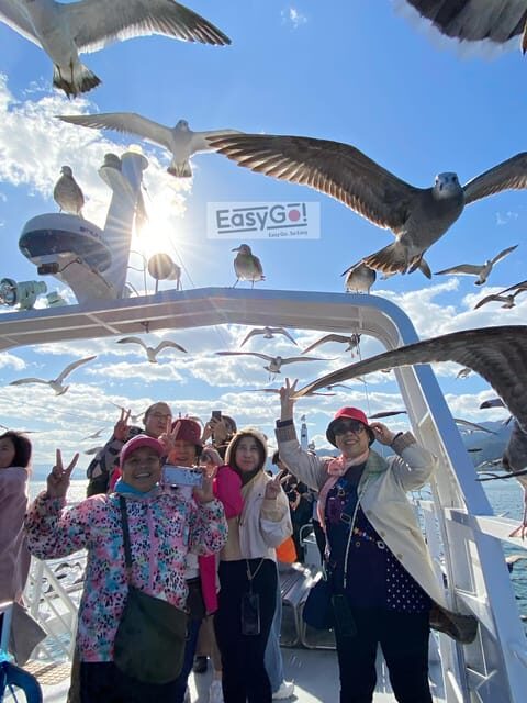 From Osaka/Kyoto: Amanohashidate Day TourIncluding tickets - Who Would Enjoy This Tour?