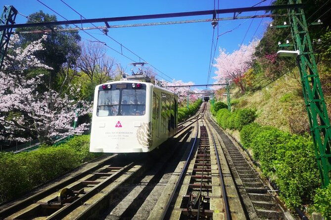 from-osaka-kyoto-amanohashidate-miyama-village-1day-bus-tour