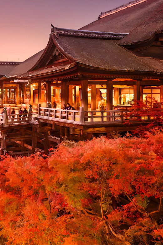 from-osaka-kyoto-and-nara-day-tour-with-deer-sightings-2