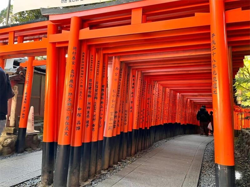 from-osaka-kyoto-and-nara-day-tour-with-deer-sightings-2