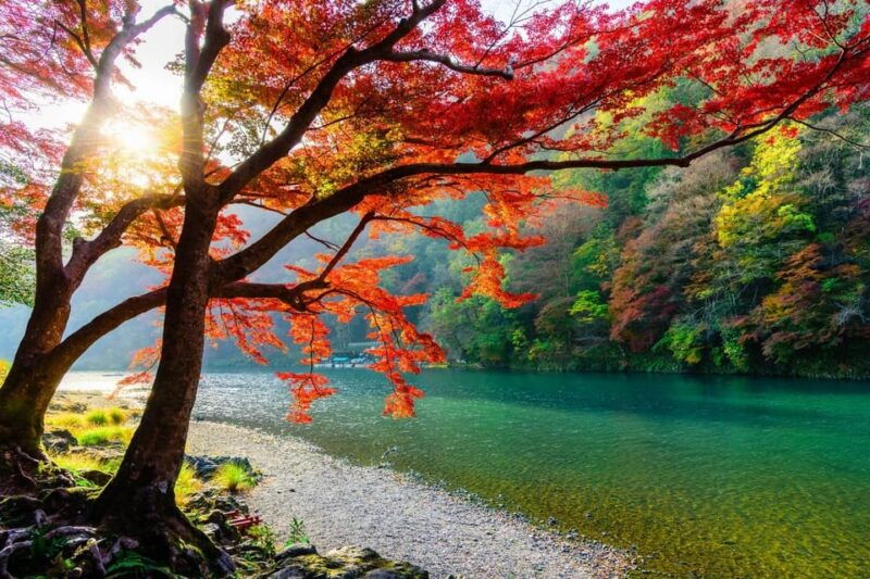 from-osaka-kyoto-and-nara-heritage-and-natural-wonders-tour