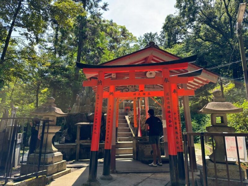 From Osaka: Kyoto Highlights One Day Private Tour - How the Pricing Reflects Value