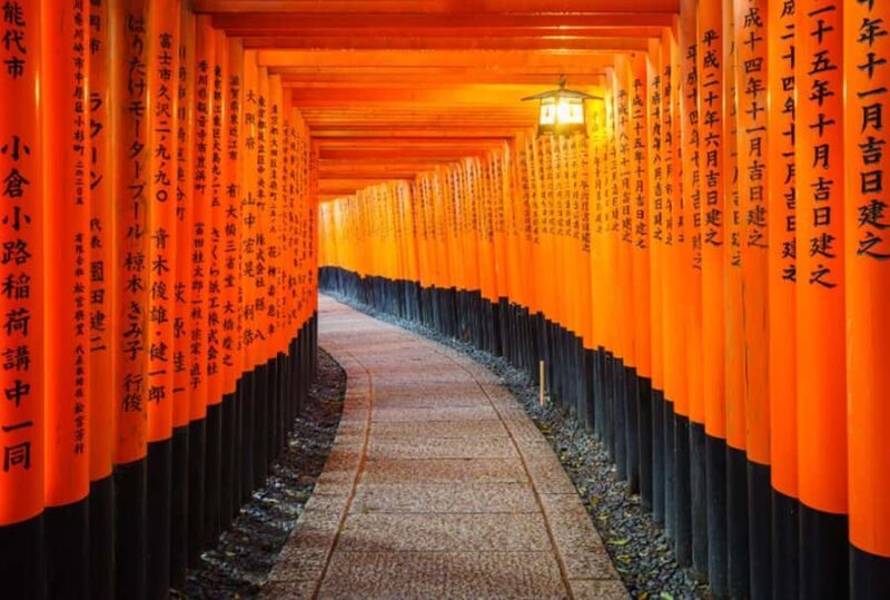 From Osaka/Kyoto: Kinkakuji, Arashiyama, FushimiInari, Nara - Who Is This Tour Best Suited For?